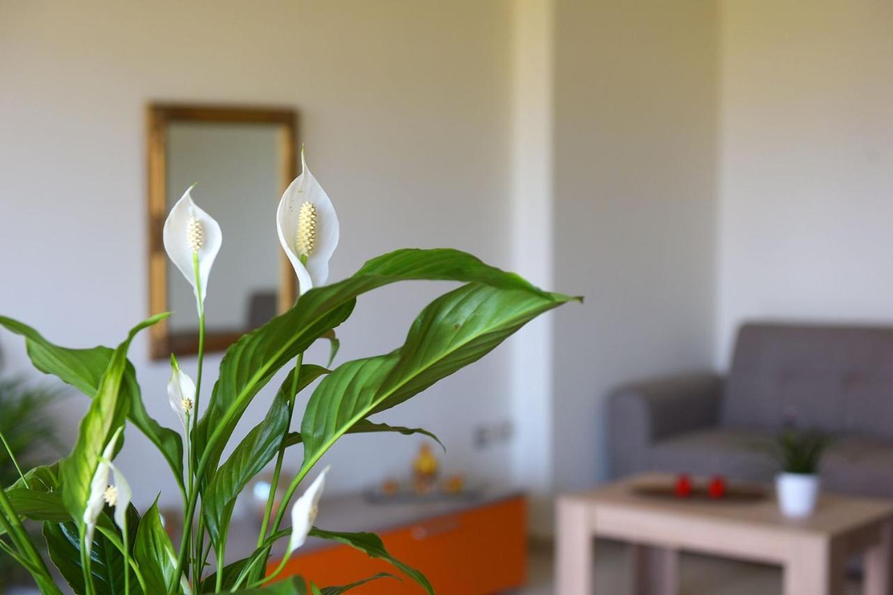 Stelia Luxury Apartments Kalavárda 外观 照片
