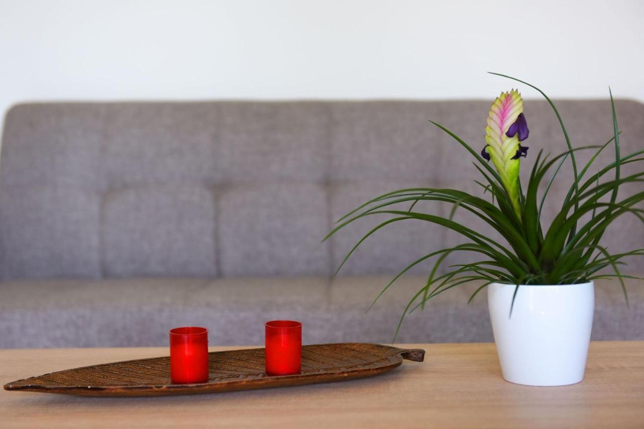 Stelia Luxury Apartments Kalavárda 外观 照片